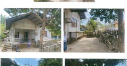Foreclosed Property in Tanauan City, Batangas · Lot 4 (PDIC)