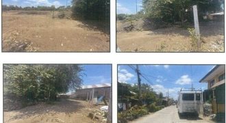 Foreclosed Residential Lot in Balayan, Batangas (PDIC)