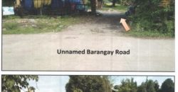 Foreclosed Property in San Clemente, Tarlac (PDIC)