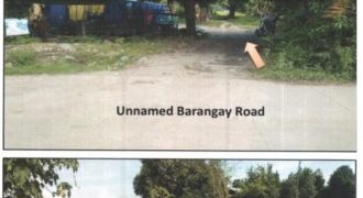 Foreclosed Property in San Clemente, Tarlac