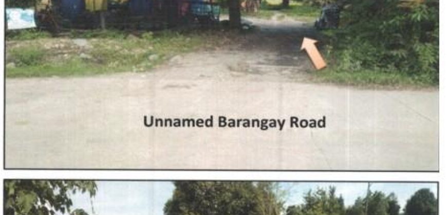 Foreclosed Property in San Clemente, Tarlac (PDIC)