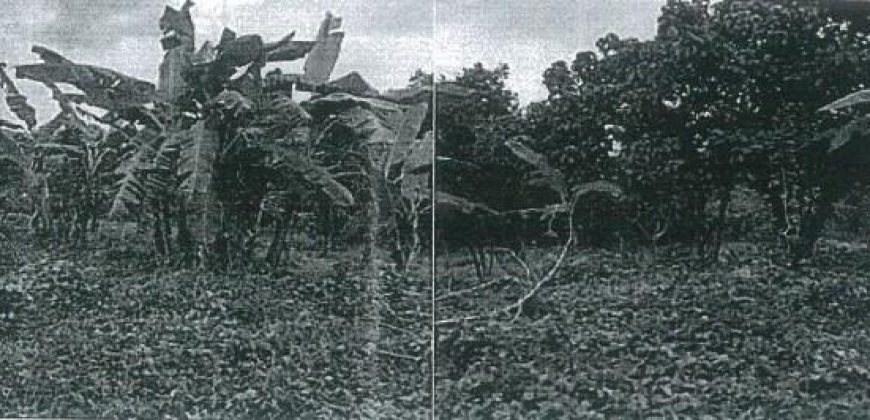 Foreclosed Agricultural Lot in Angat, Bulacan (PDIC)