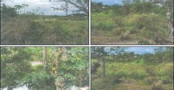 Foreclosed Agricultural Lot in Norzagaray, Bulacan (PDIC)
