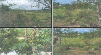 Foreclosed Agricultural Lot in Norzagaray, Bulacan (PDIC)