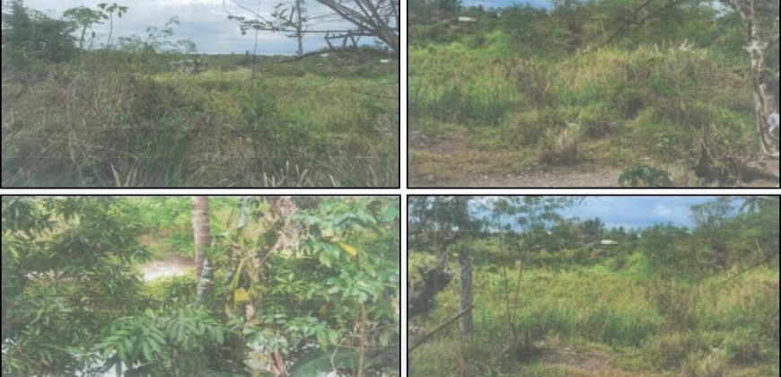Foreclosed Agricultural Lot in Norzagaray, Bulacan (PDIC)