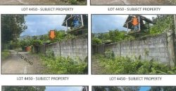 Foreclosed Agricultural Lot in Nabas, Aklan · Lot No. 4448 (PDIC)