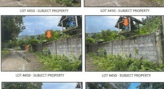 Foreclosed Agricultural Lot in Nabas, Aklan · Lot No. 4448 (PDIC)