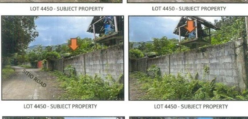 Foreclosed Agricultural Lot in Nabas, Aklan · Lot No. 4448 (PDIC)