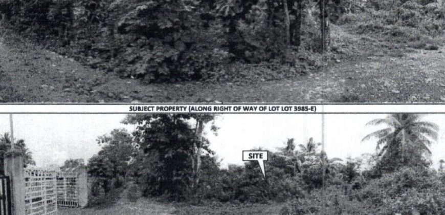 Foreclosed Property in Echague, Isabela (PDIC)