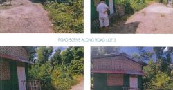 Foreclosed Property in Alimodian, Iloilo – St. Joseph Village (PDIC)