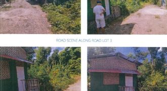 Foreclosed Property in Alimodian, Iloilo – St. Joseph Village (PDIC)
