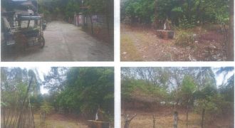 Foreclosed Residential Lot in Iba, Zambales (PDIC)