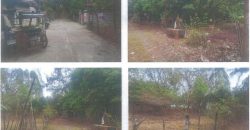 Foreclosed Residential Lot in Iba, Zambales · Lot 14 (PDIC)