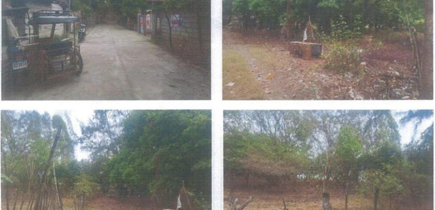 Foreclosed Residential Lot in Iba, Zambales · Lot 14 (PDIC)