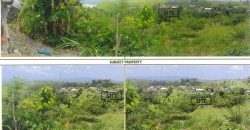 Foreclosed Agricultural Lot in San Fernando City, Cebu · Lot No. 6702 (PDIC)