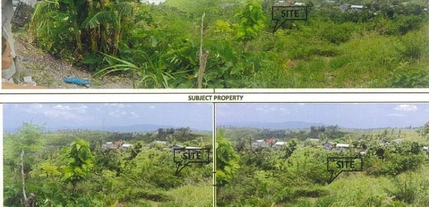 Foreclosed Agricultural Lot in San Fernando City, Cebu · Lot No. 6702 (PDIC)