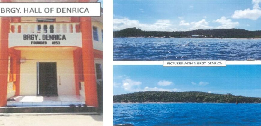 Foreclosed Agricultural Lot in Garchitorena, Camarines Sur (PDIC)