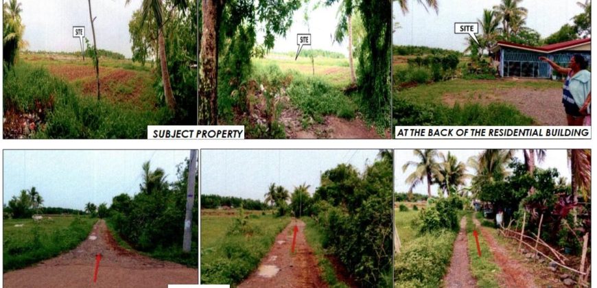Foreclosed Agricultural Lot in Echague, Isabela · Lot 432-A-4 (PDIC)