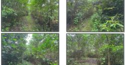 Foreclosed Residential Lot in Buenavista, Iloilo (PDIC)