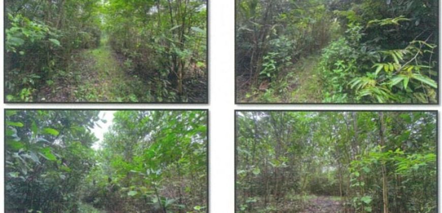 Foreclosed Residential Lot in Buenavista, Iloilo (PDIC)