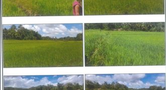 Foreclosed Residential Lot in Sapian, Capiz (PDIC)