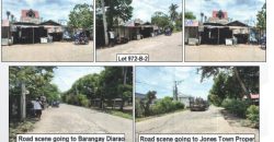 Foreclosed Property in Jones, Isabela (PDIC)