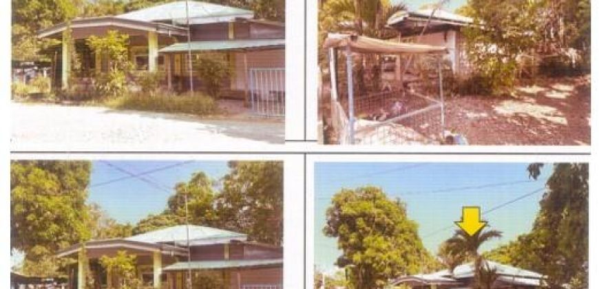 Foreclosed Property in Balaoan, La Union · Lot 7001-A (PDIC)