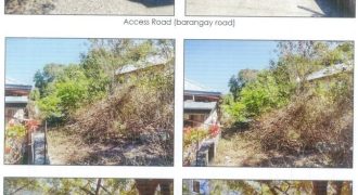 Foreclosed Agricultural Lot in Bangar, La Union · Lot No. 7090-A (PDIC)