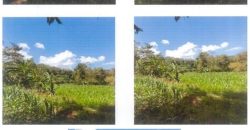 Foreclosed Agricultural Lot in Santol, La Union · Lot No. 4142 (PDIC)