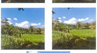 Foreclosed Agricultural Lot in Santol, La Union · Lot No. 4142 (PDIC)