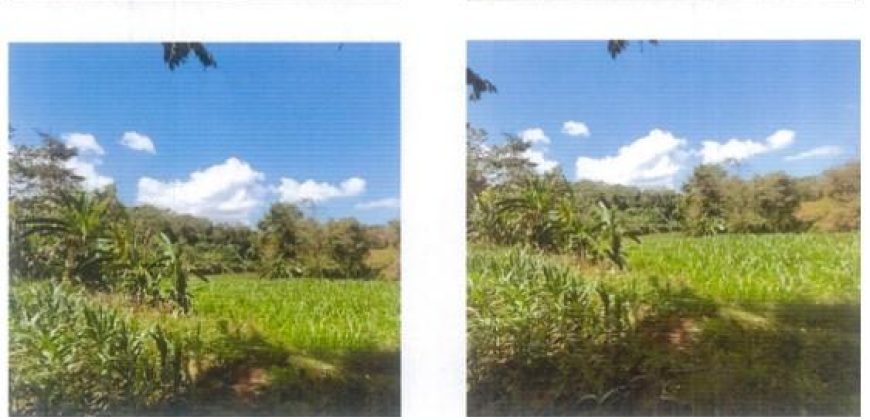 Foreclosed Agricultural Lot in Santol, La Union · Lot No. 4142 (PDIC)