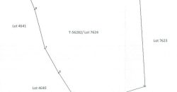 Foreclosed Agricultural Lot in Irosin, Sorsogon (PDIC)