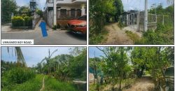 Foreclosed Agricultural Lot in Lipa City, Batangas · Lot 2-A-7 (PDIC)