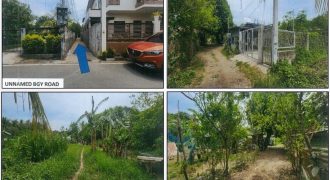 Foreclosed Agricultural Lot in Lipa City, Batangas · Lot 2-A-7 (PDIC)