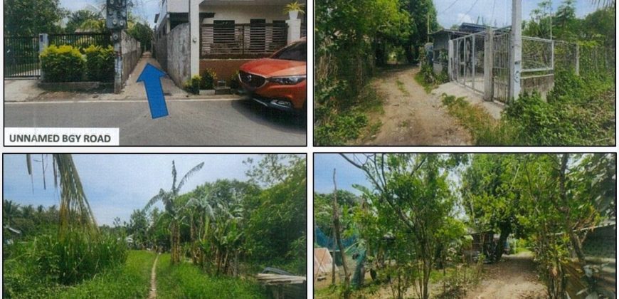 Foreclosed Agricultural Lot in Lipa City, Batangas · Lot 2-A-7 (PDIC)