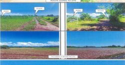 Foreclosed Agricultural Lot in San Jose, Camarines Sur, Luzon