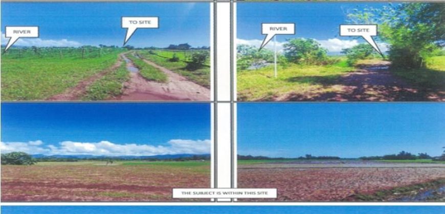 Foreclosed Agricultural Lot in San Jose, Camarines Sur, Luzon