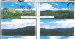 Foreclosed Agricultural Lot in Lagonoy, Camarines Sur · Lot No. 1656 (PDIC)