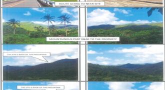 Foreclosed Agricultural Lot in Lagonoy, Camarines Sur · Lot No. 1656 (PDIC)