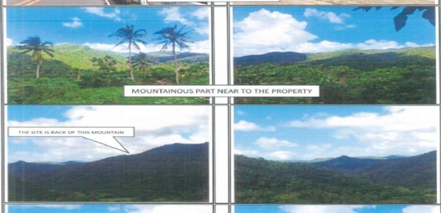 Foreclosed Agricultural Lot in Lagonoy, Camarines Sur · Lot No. 1656 (PDIC)