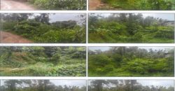 Foreclosed Residential Lot in Nueva Valencia, Iloilo (PDIC)