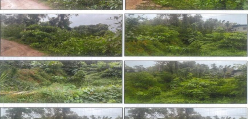 Foreclosed Residential Lot in Nueva Valencia, Iloilo (PDIC)