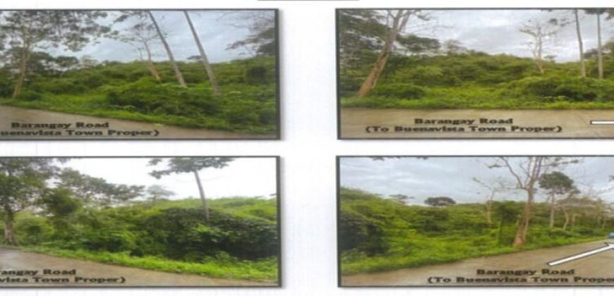 Foreclosed Agricultural Lot in Buenavista, Iloilo (PDIC)
