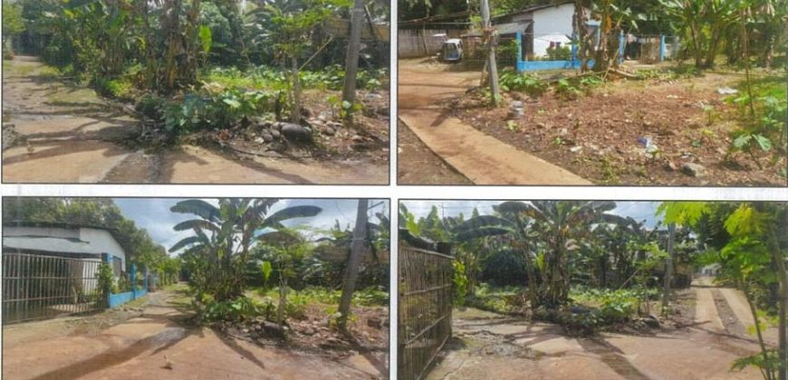 Foreclosed Residential Lot in Ivisan, Capiz (PDIC)