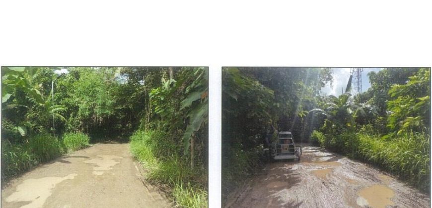 Foreclosed Residential Lot in Roxas, Capiz · Lot No. 1789-B-8 (PDIC)