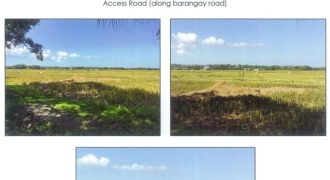Foreclosed Agricultural Lot in Bangar, La Union · Lot 7722 (PDIC)