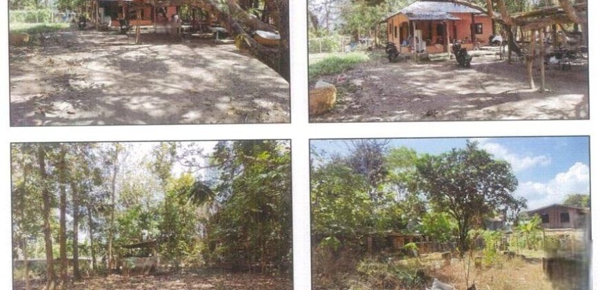 Foreclosed Property in Balaoan, La Union · Lot 9299 (PDIC)