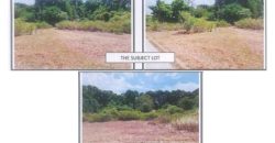 Foreclosed Residential Lot in San Antonio, Zambales (PDIC)