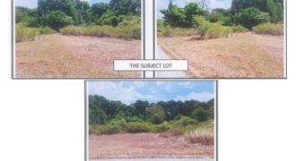 Foreclosed Residential Lot in San Antonio, Zambales (PDIC)