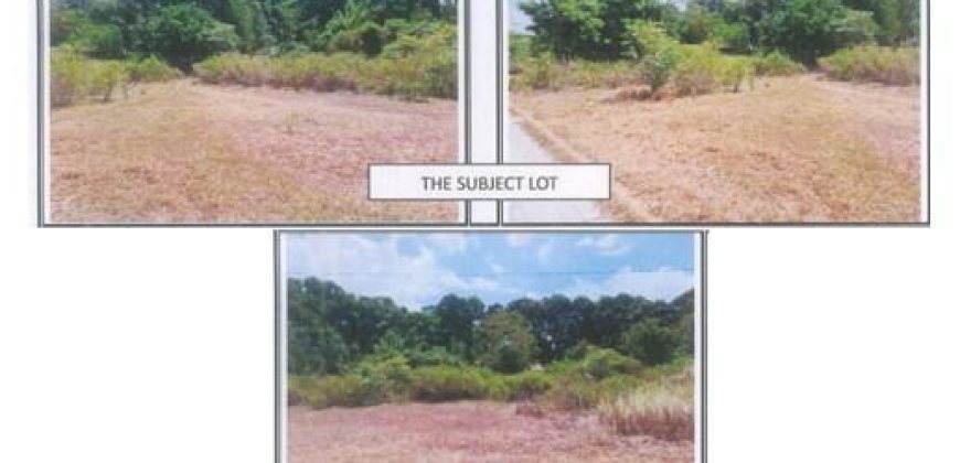 Foreclosed Residential Lot in San Antonio, Zambales (PDIC)